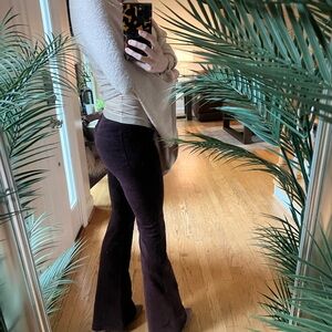 Newbury Kustom Wide Leg Pants in Dark Brown and sage green